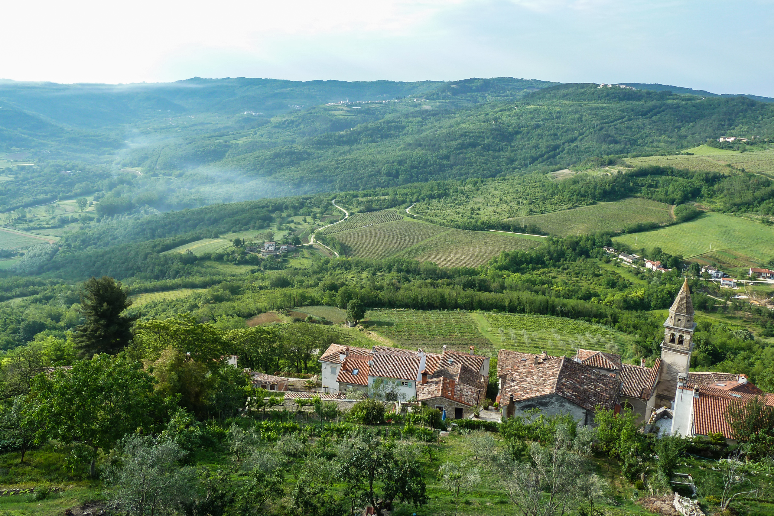 Blick von Motovun auf das Mirna-Tal und die Hügel